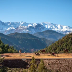 Toubkal: à Conquista do Alto Atlas