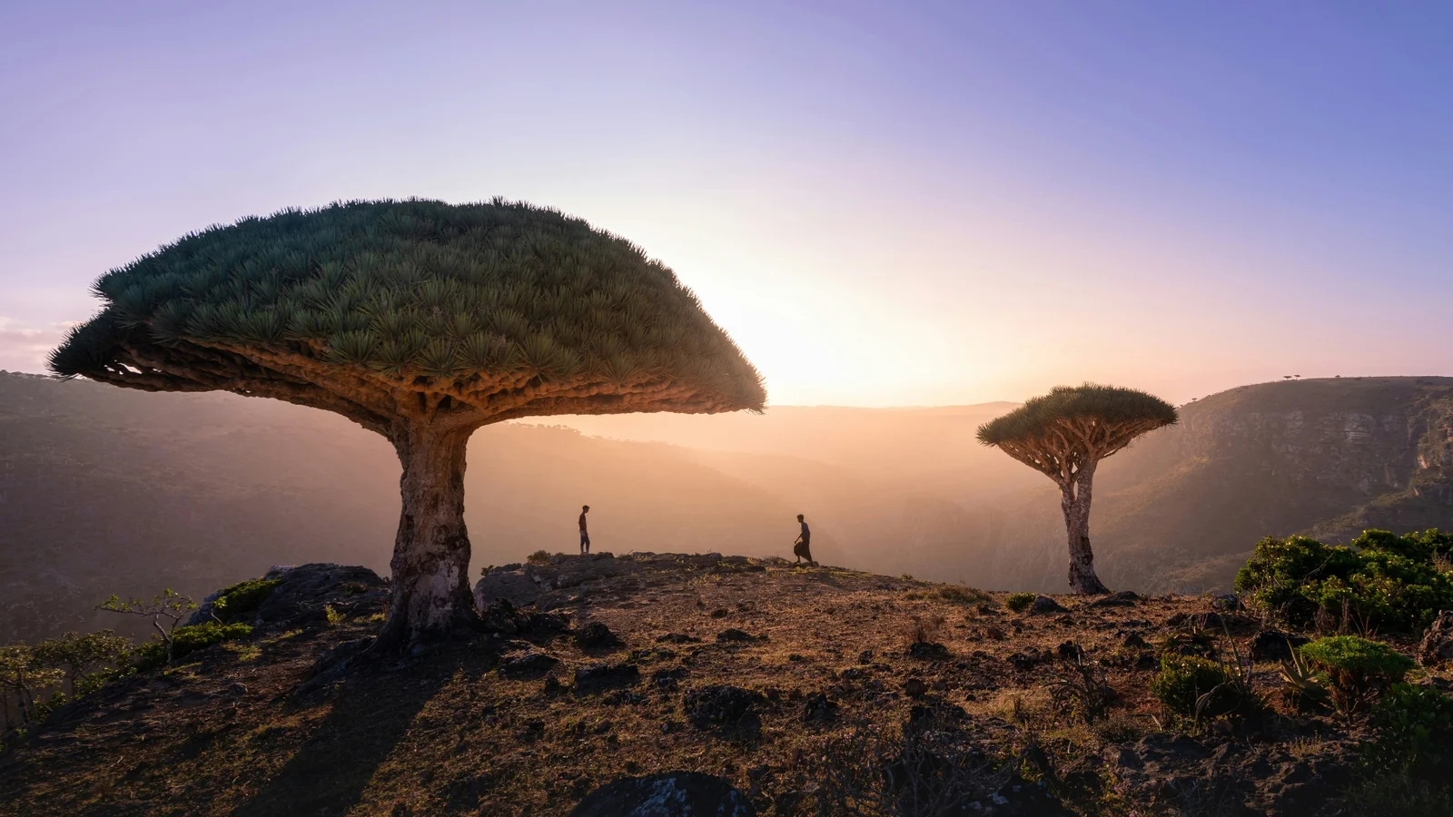 Socotra1
